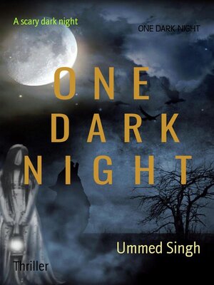 cover image of ONE DARK NIGHT